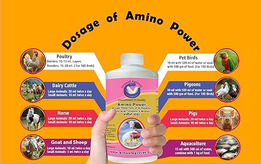 animal growth & immunity booster – amino power with 46 amino acids, vitamins & minerals for poultry, cattle, aqua, goat, pig & birds (500ml) animal growth & immunity booster – amino power with 46 amino acids, vitamins & minerals for poultry, cattle, aqua, goat, pig & birds (500ml)