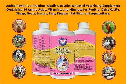 animal growth & immunity booster – amino power with 46 amino acids, vitamins & minerals for poultry, cattle, aqua, goat, pig & birds (500ml) animal growth & immunity booster – amino power with 46 amino acids, vitamins & minerals for poultry, cattle, aqua, goat, pig & birds (500ml)