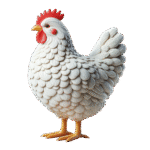—pngtree—white chicken clipart on a 15158813